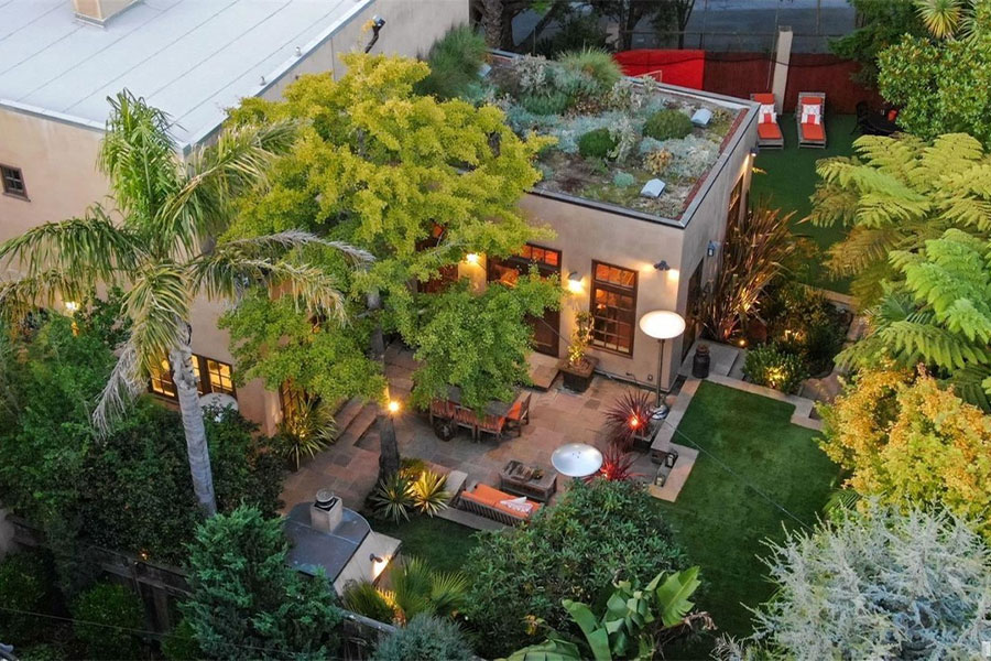SF Real Estate - Backyard